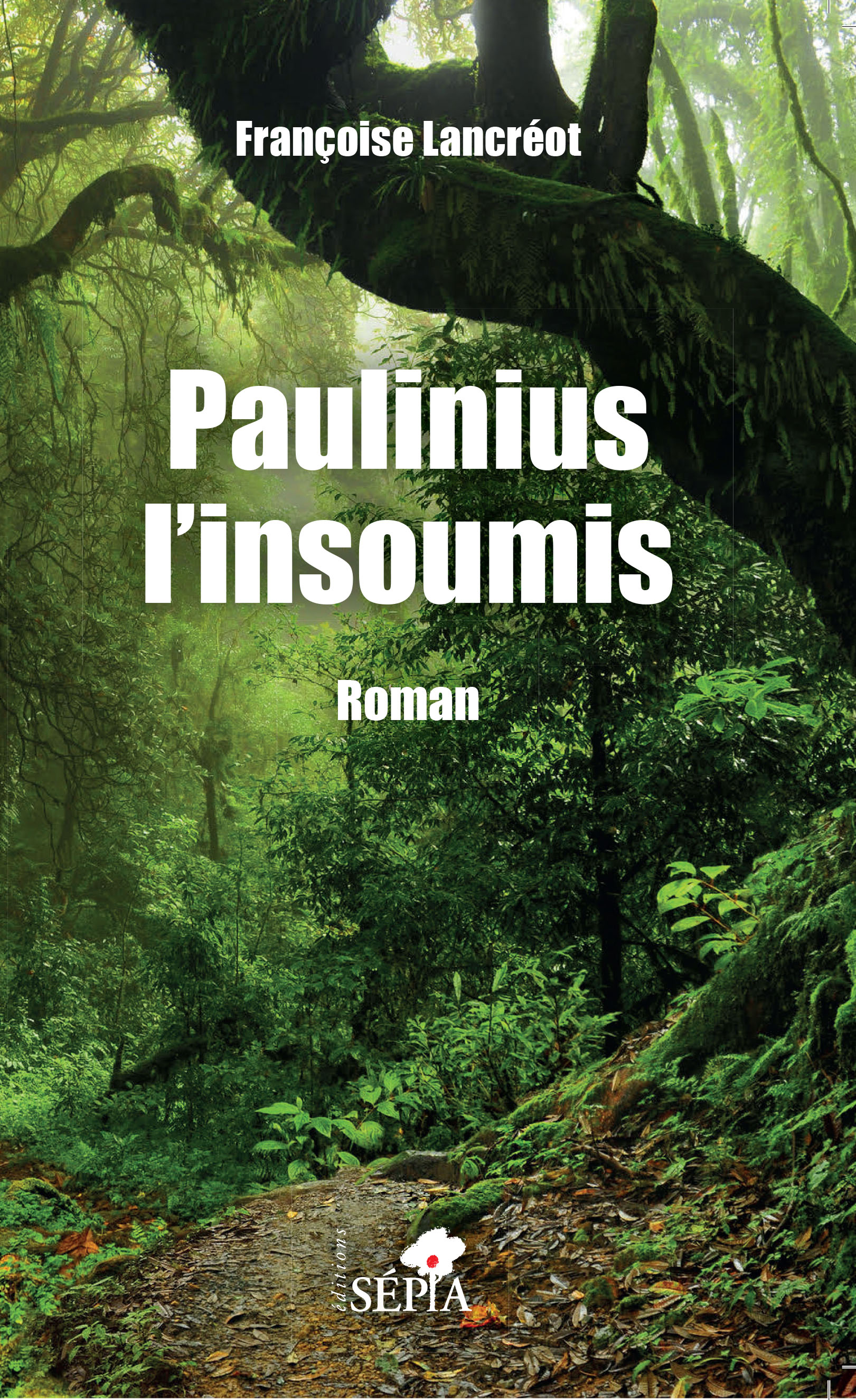 Paulinius l’insoumis, un roman de Francoise Lancreot